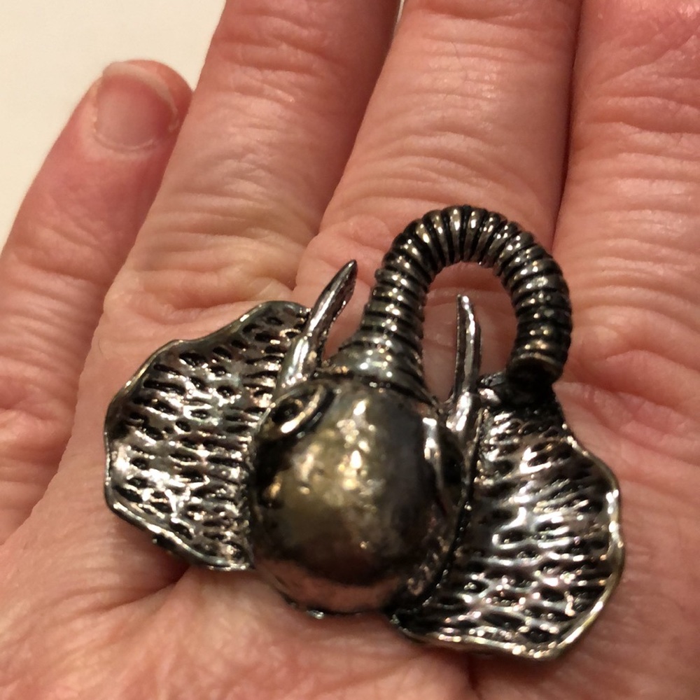 Elephant Ring - Picture 6 of 8